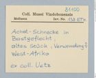 Etikett zu Achatschnecke in Bastgeflecht (NHMW-ZOO-MO-0081100-ETH-138)
